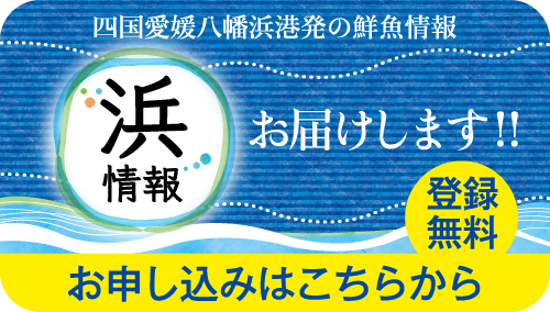 浜情報無料登録バナー