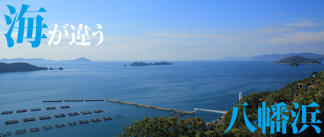海が違う八幡浜